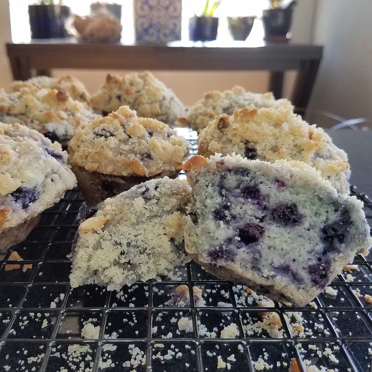 Blueberry Pine Nut Streusel Muffins