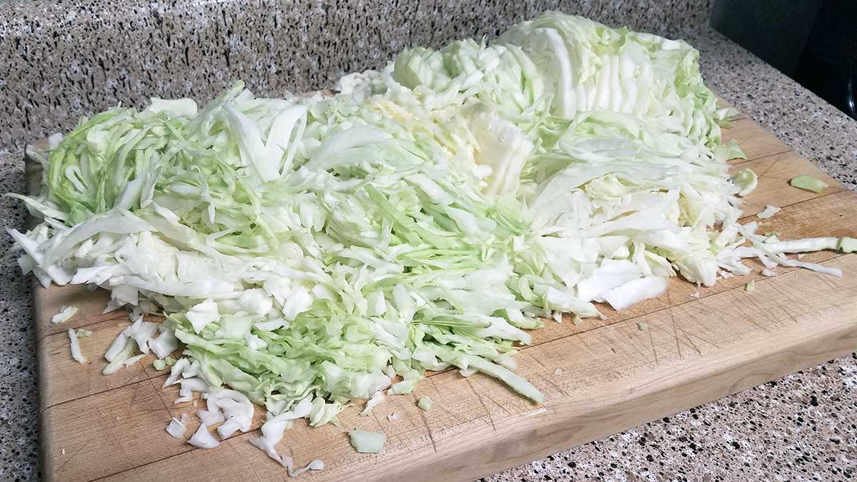 Cabbage sliced for fermented sauerkraut.