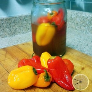 Pickled Peppers recipe by Lemons And Time