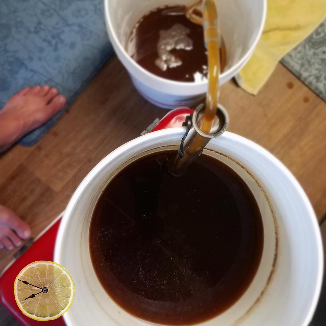 Racking Heathe Ale with an autosiphon.