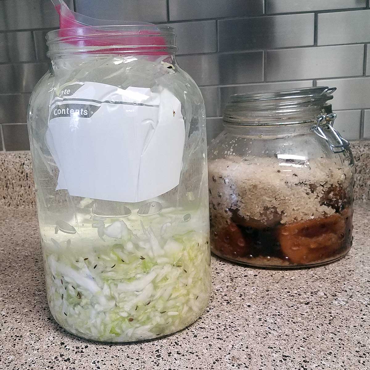 Sauerkraut fermenting in 1 gallon glass jar
