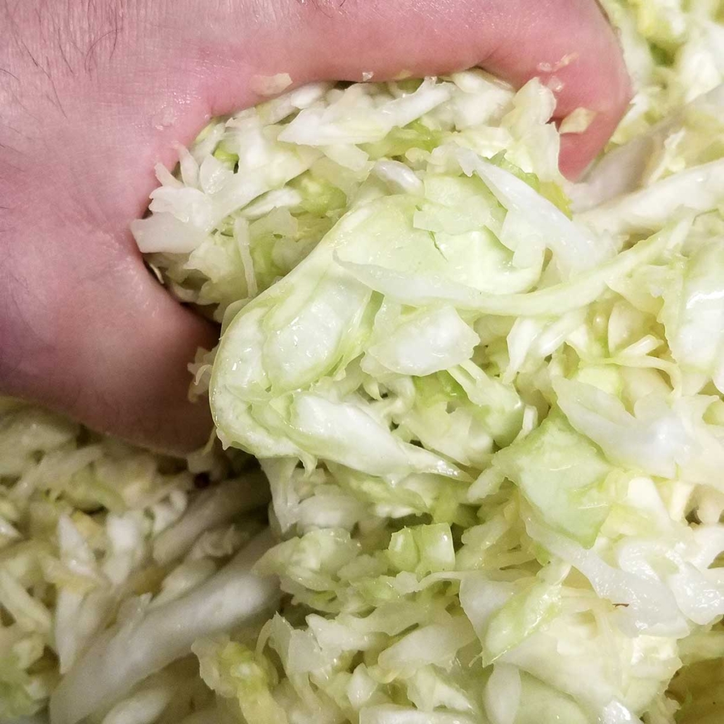Scrunching cabbage for sauerkraut