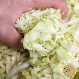 Fermented Sauerkraut recipe by Lemons and Time